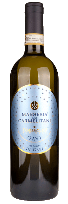Vite Colte Gavi di Gavi Masseria dei Carmelitani 2025
