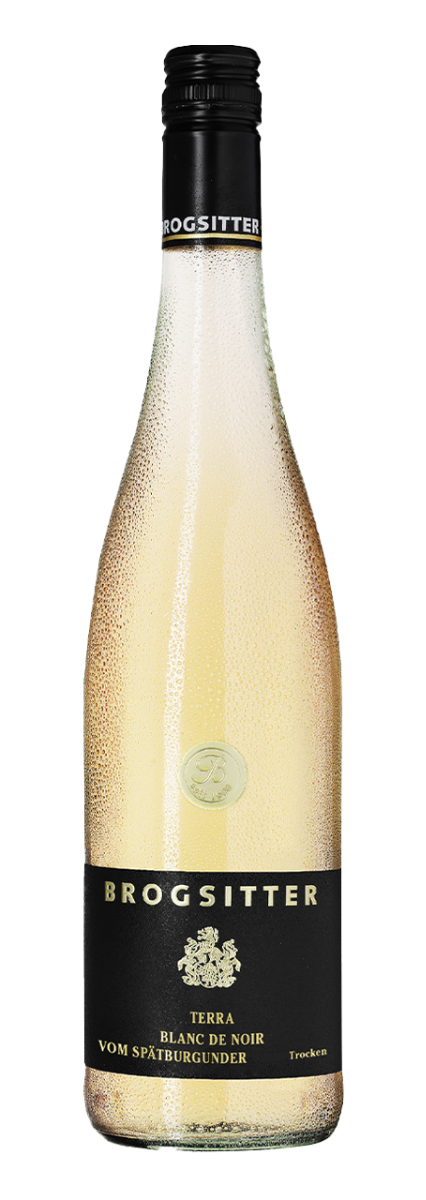 Brogsitter Weingüter Rheinhessen Terra Blanc Spätburgunder Blanc de Noir 2024