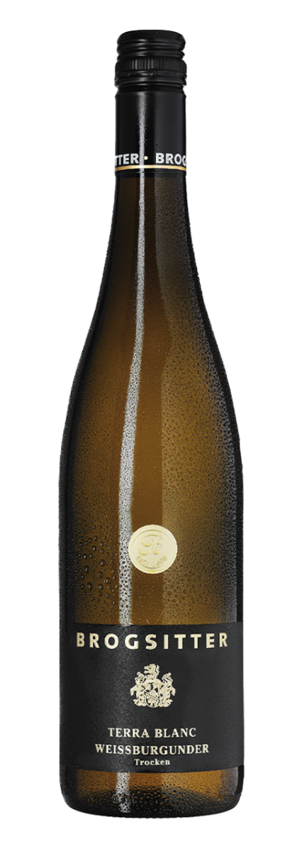 Brogsitter Weingüter Rheinhessen Terra Blanc Weissburgunder 2024