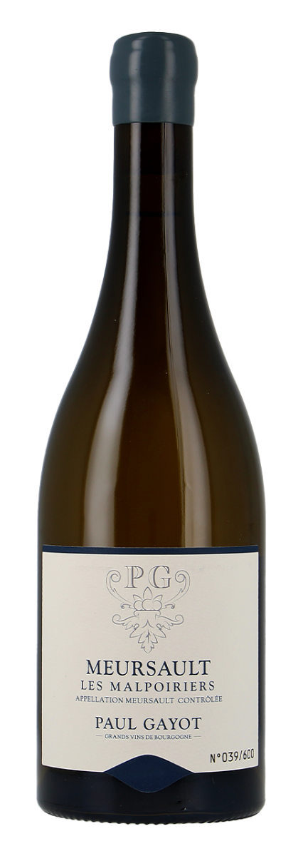 Paul Gayot Meursault AC Les Malpoiriers 2024