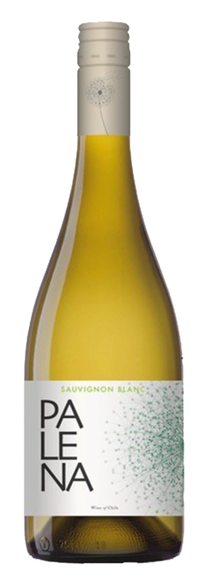 Palena Rappel Valley Sauvignon Blanc 2023