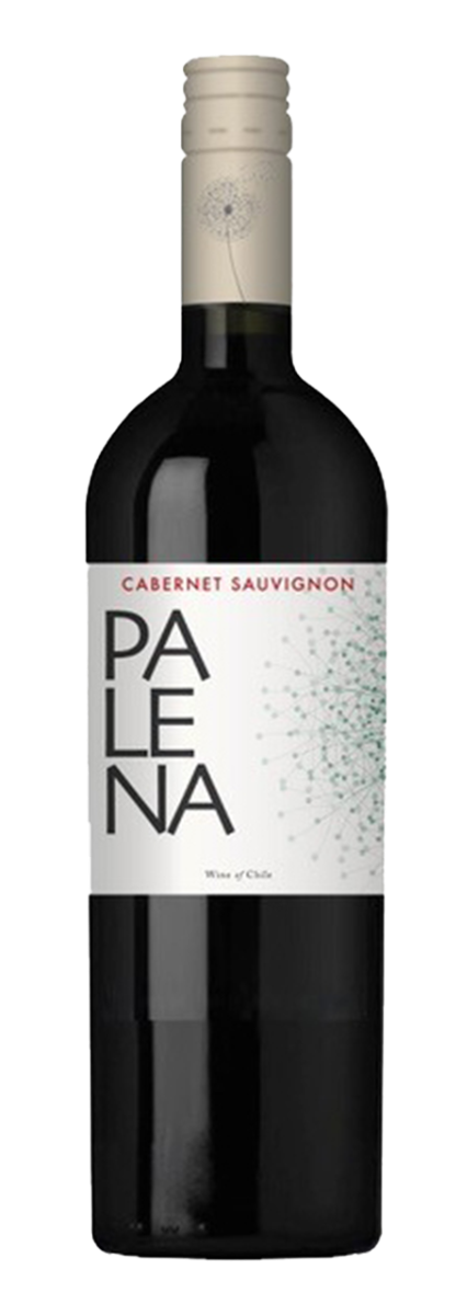 Palena Rappel Valley Cabernet Sauvignon 2022