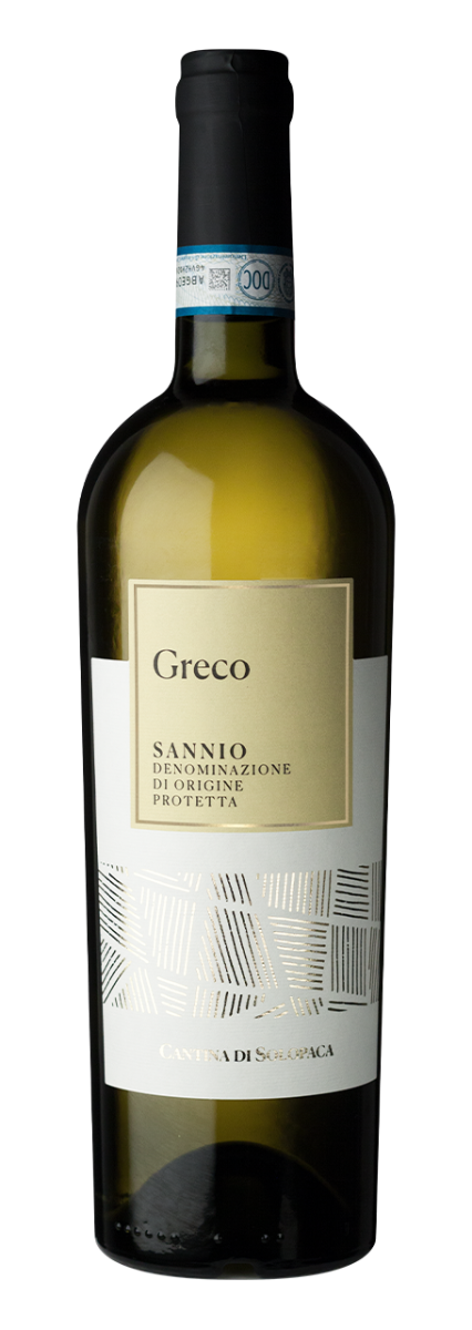 Cantina di Solopaca Greco Sannio DOP 2025