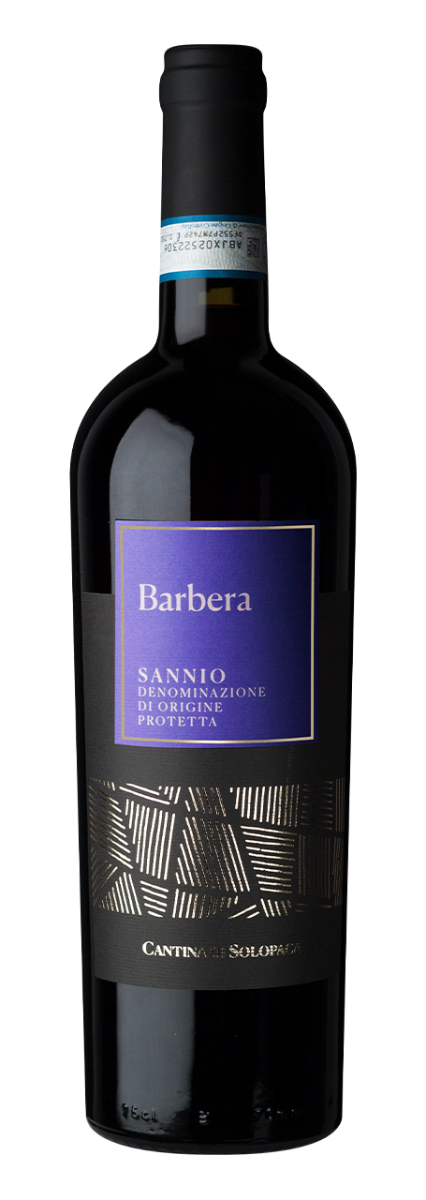 Cantina di Solopaca Barbera Sannio DOP 2023