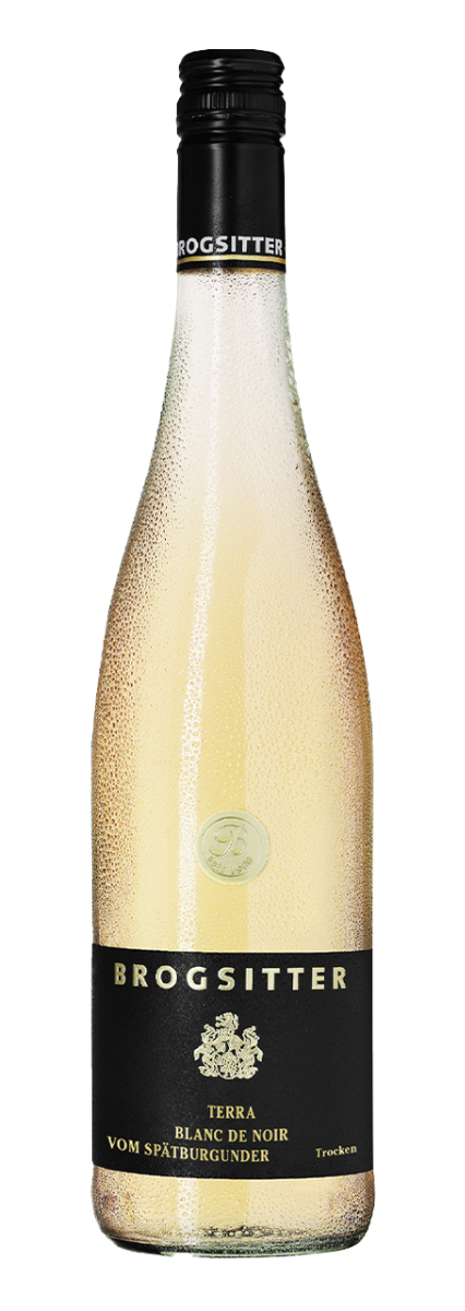Brogsitter Weingüter Rheinhessen Terra Blanc Spätburgunder Blanc de Noir 2023