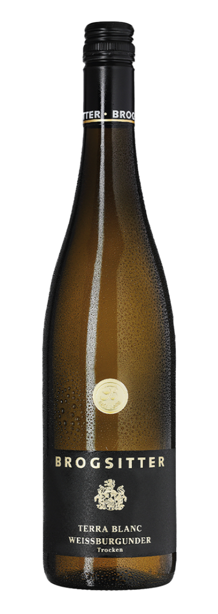 Brogsitter Weingüter Rheinhessen Terra Blanc Weissburgunder 2023