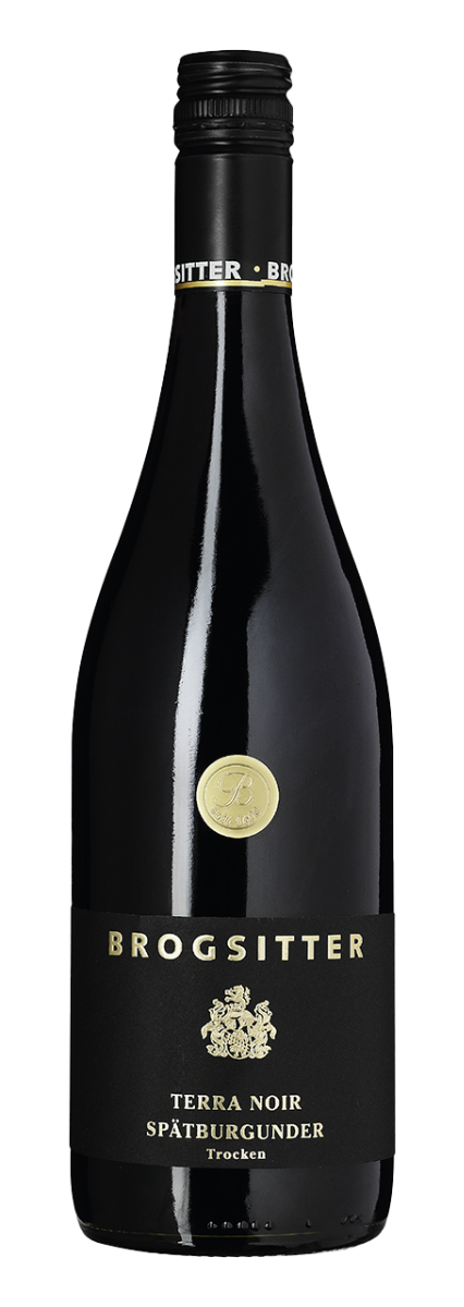 Brogsitter Weingüter Rheinhessen Terra Noir Spätburgunder Trocken 2023