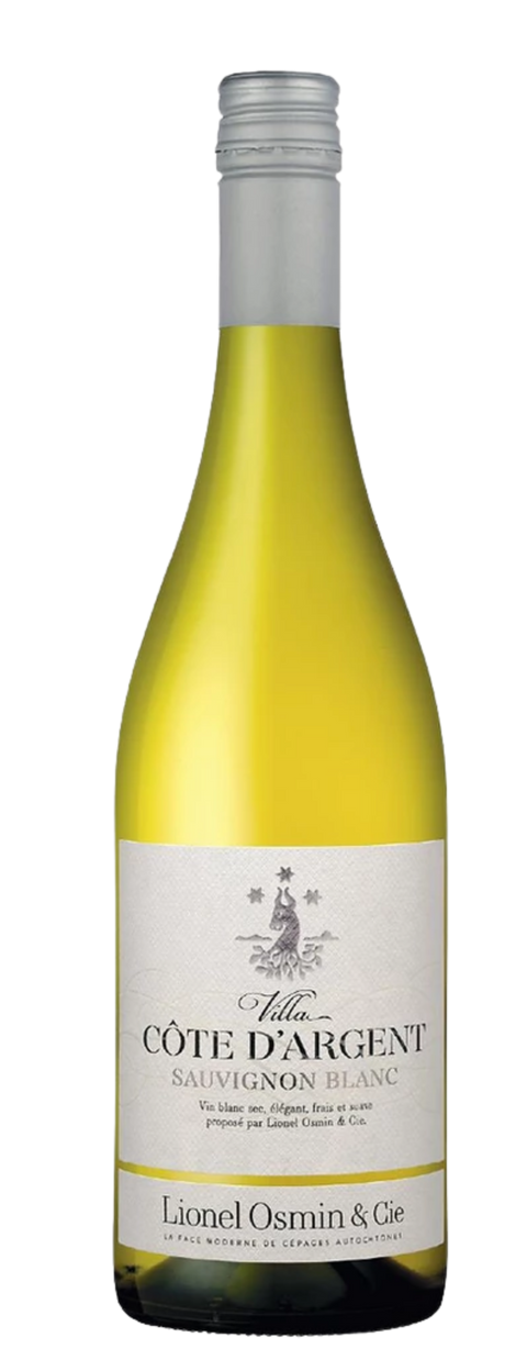 Lionel Osmin & Cie Les Villas Villa Côte d'Argent 2024