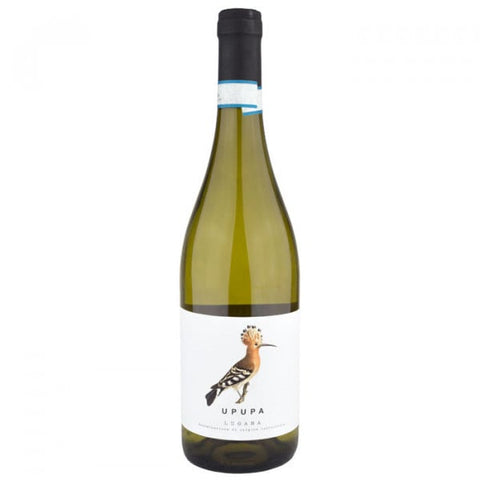 Malavasi Upupa Lugana 2024