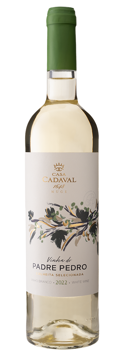 Casa Cadaval Padre Pedro Branco 2023