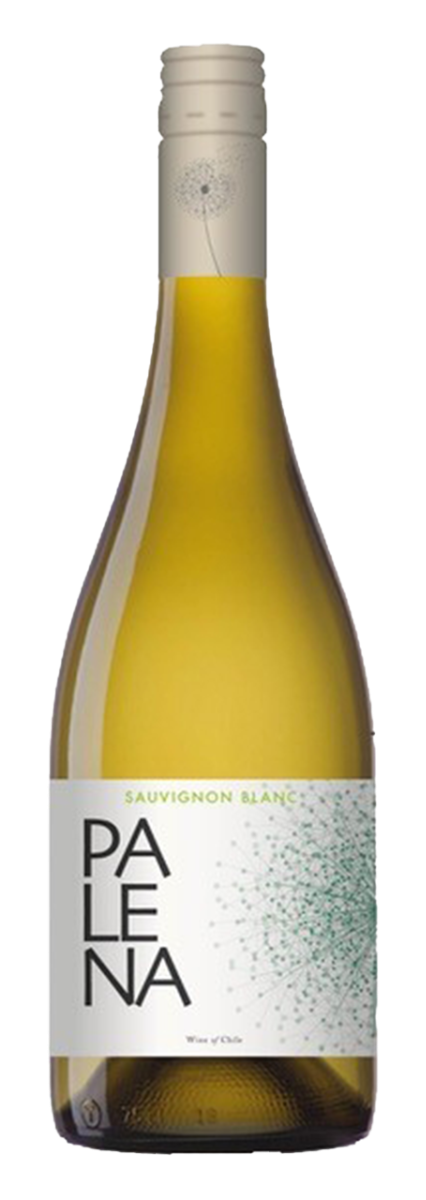 Palena Rappel Valley Sauvignon Blanc 2023