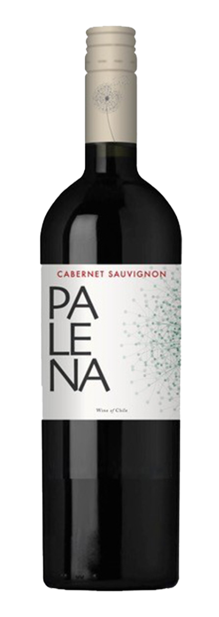 Palena Rappel Valley Cabernet Sauvignon 2022
